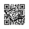 90507-32029-00 