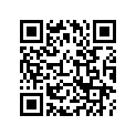 90507-VM6-680 Washer (10x28)