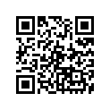90508-26651-00 Spring