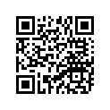 90508-32589-00 Spring, Torsion