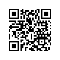 9051095104304 SPROCKET ALU 43T
