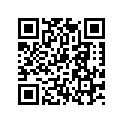 90512541044 MIRROR ARM R/S CPL. US