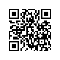 90525-MJT-E00 SHIM E (0.5)