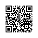 90534-283-000 Washer, tongued