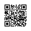 90601-Z7E-000 E-RING(2MM)