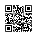 90613-417-000 Ring (inner) (52mm)