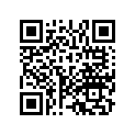 90651-KR0-000 O Ring  5pk
