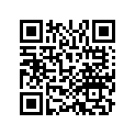 90652-HL6-A01 RING (1.117X0.037)