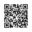 90667-04BKM SADDLEBAG BOTTOM RIGHT (ORANGE PEARL/JET