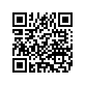 9078790 SADDLEBAGSUPPORTASSY,L
