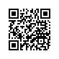 90793-25011-00 Аккумулятор