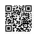 90808099000 DECAL KIT 390 RC