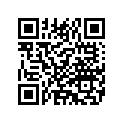 9096764 RIVET