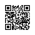 91002-KPF-901 BRG,BALL,RADIAL,1