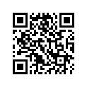 91006-300-008 SSBY-11-96100-62050-00-BEARING(6205)