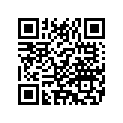 9107407 SBAGSUPPORT,RH,CHROME