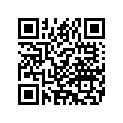 9116398 95THFLSTSSADDLEBAGRIGH