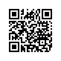 9116602 FXDXTSADDLEBAGPINPADK