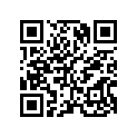 91209463013 Заглушка
