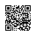 91251-ZZ3-003 SEAL(17X36X6)