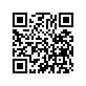 91301-027-000 Кольцо уплотнительное