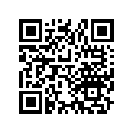 91301-259-000 O ring, 57x3