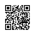 91301-968-005 O-ring (29.5x1.9)