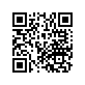 91301-MW4-004 O-RING,26.2X1.9