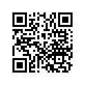 91301-VM0-003 O-ring (24.8x1.2)  (not Available)