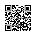 91301-ZG3-000 O-RING