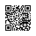 91302-426-003 O-ring (23x2.8)