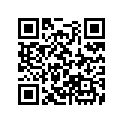 91302-KG4-003 NLA - 11-91302-KG4-003 - O-RING (20X2)