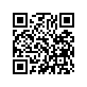 91303-425-005 O-ring (30.8x3.2)
