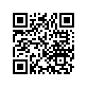 91303-958-682 O-ring (10.7x1.5)