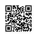 91304-286-000 O-RING (61.8X2.0)