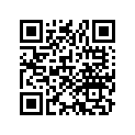 91305-384-750 O-RING (25X3)
