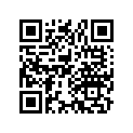 91306-250-000 O ring, 4.3