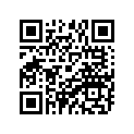 91316-06155-00 Bolt