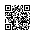 91316-292-000 0-ring 17x25