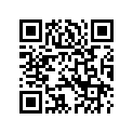 9131604 FLHRSLHSADDLEBAG