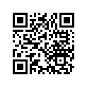 91317-703-000 Уплотнительное кольцо