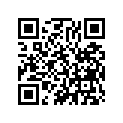 91318-300-013 RUBBER,SEALING