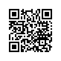 91352-HL6-A01 O-RING (24.5)