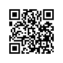 91357-KSR-711 BUSH, SLIDER