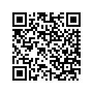 9141308CAS FILLERSTRIP,FLHTCUSE3,