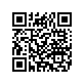 9151499 MIRRORASY,LHOVAL