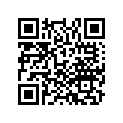 91555-ZS9-A01 WASHERA(4MM)