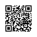 91557-764-631 BUSH(22X25X25)