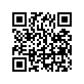 9161140625 BOLT