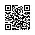 91651-ZS9-000 RUB,INVERTERUNIT